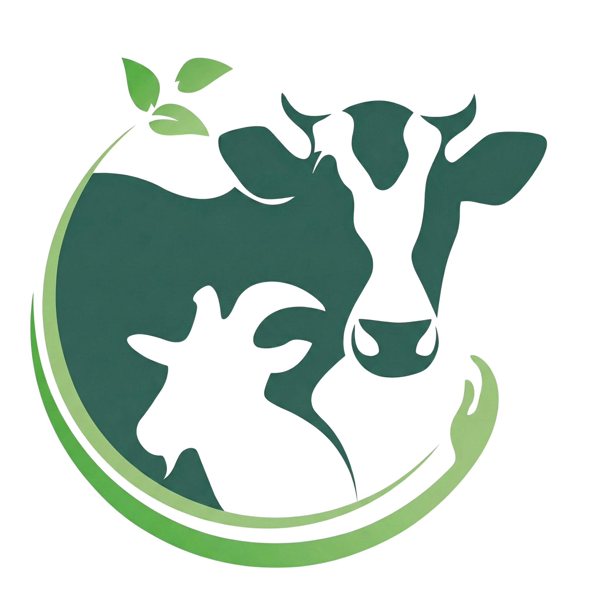 شركة دار الثقة لاستيراد المواد الغذائية والمواشي